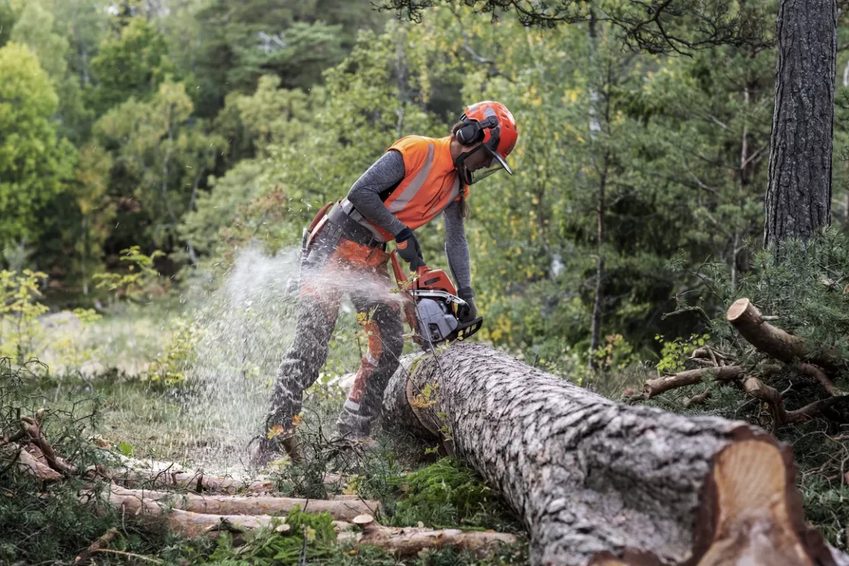 Verižna žaga Husqvarna 550XP® Mark II