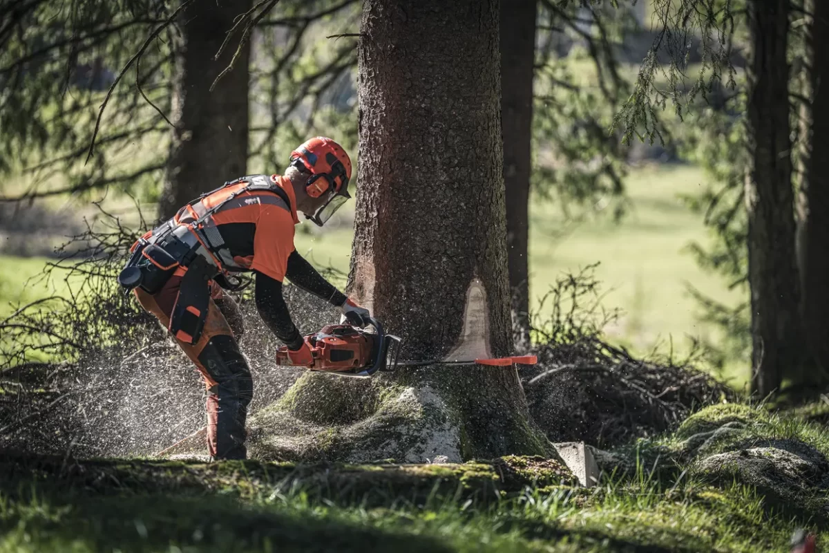 motorna žaga 572 XP® Husqvarna