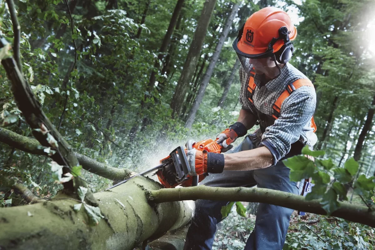 žaga Husqvarna 555