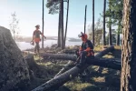 Zaščitna čelada Husqvarna Technical