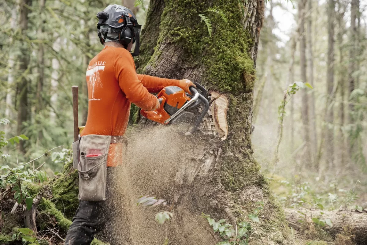 Verižna žaga Husqvarna 592 XP 24"