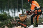 Veriga X-CUT SP33G 0.325 1.3 mm Husqvarna