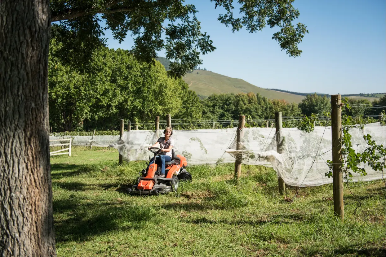 Rider kosilnica R 214TC Husqvarna vinograd