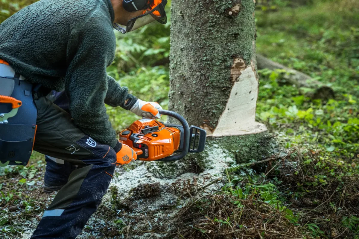 Motorna žaga 450X Husqvarna sečnja