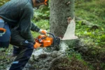Motorna žaga 450X Husqvarna sečnja