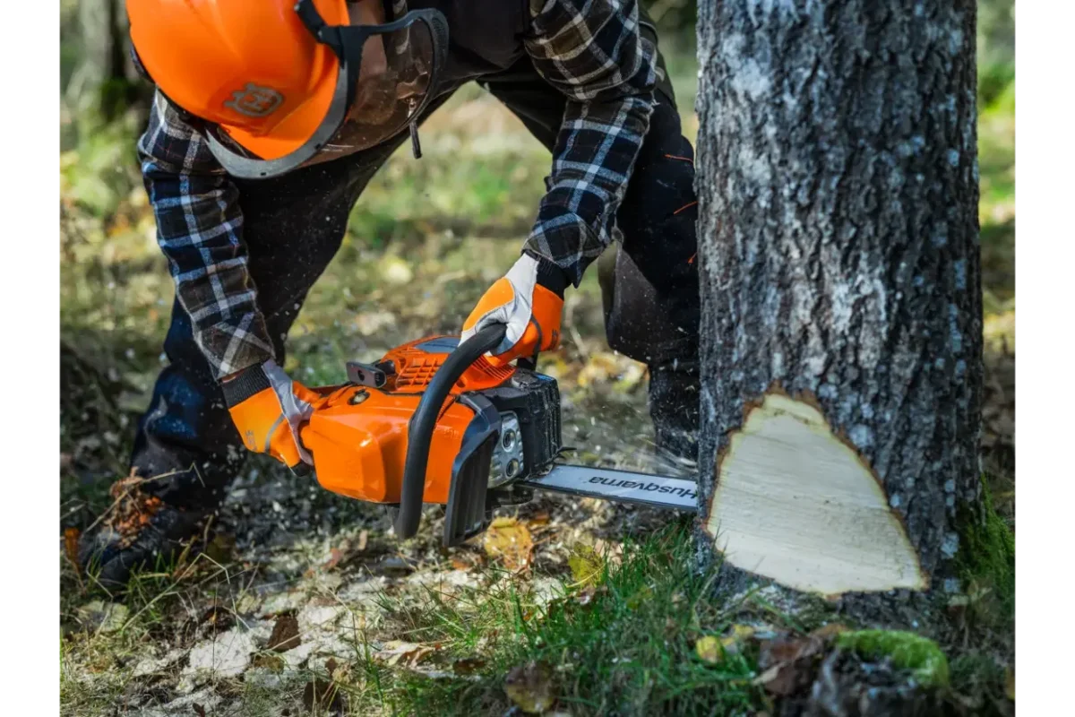 Motorna žaga 445S Husqvarna delo v gozdu